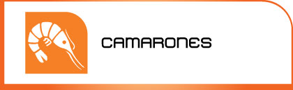 logotipo camarones