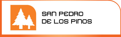 logotipo sanpedrodelospinos