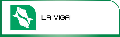 logotipo la-viga