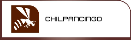 logotipo chilpancingo