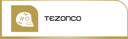 logotipo tezonco